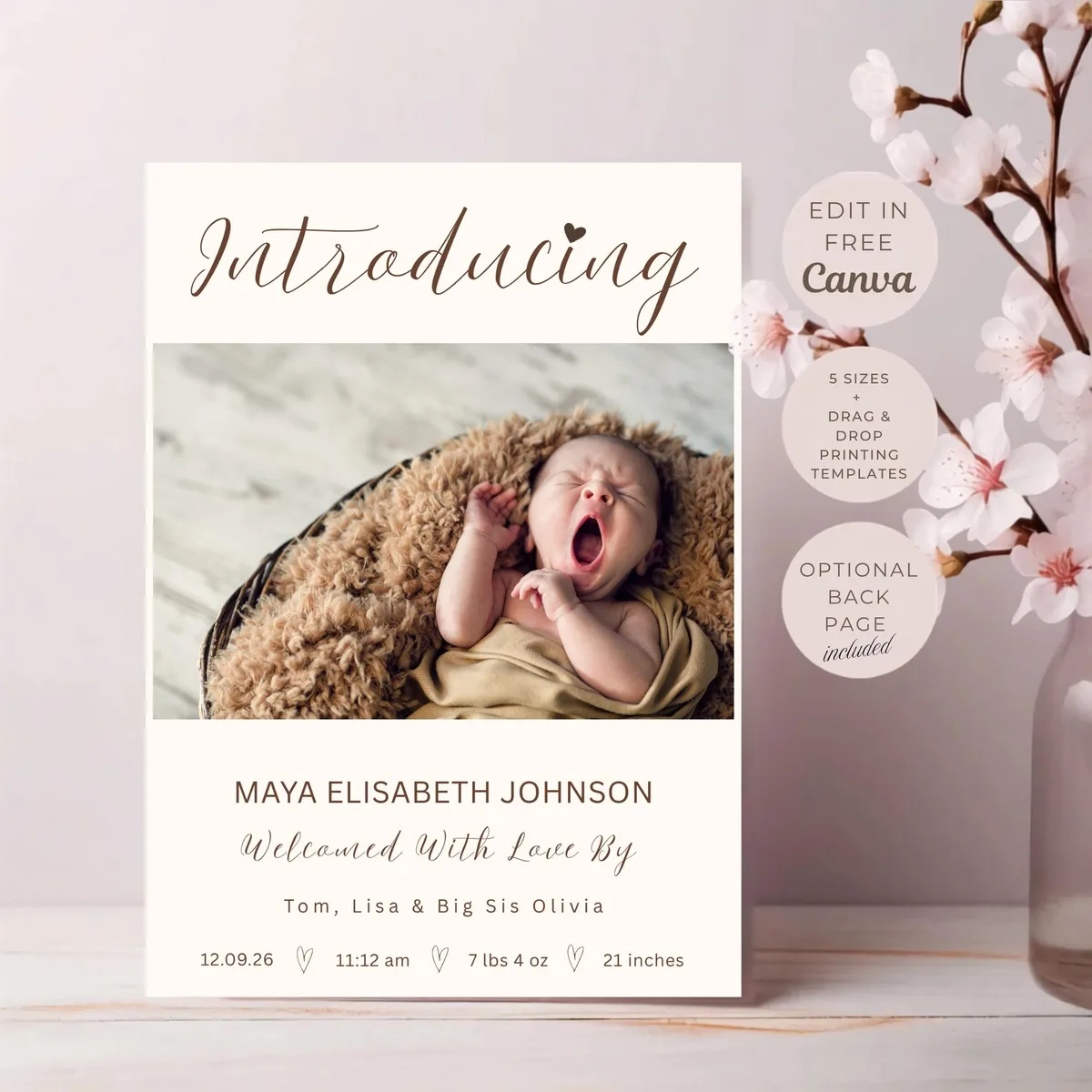 Photo Newborn Birth Announcement — preview 2